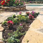 Lastavica House With Heated Pool Holiday home Zarovic