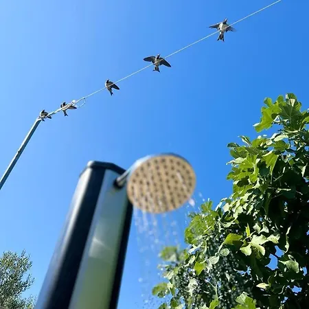 Lastavica House With Heated Pool * Zarovic