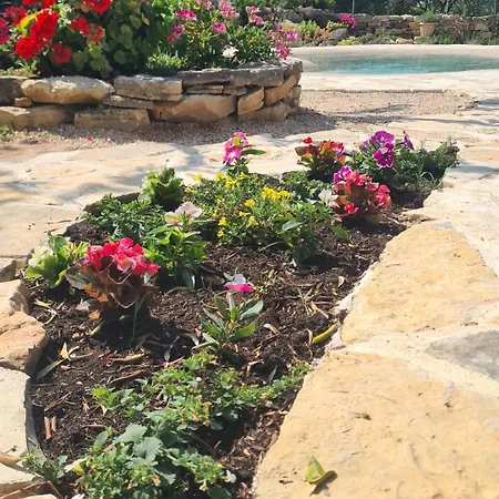 Lastavica House With Heated Pool Vakantiehuis Zarovic