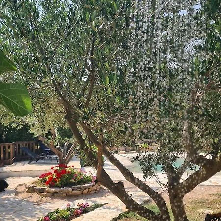 Lastavica House With Heated Pool Casa vacanze *