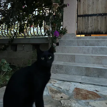 בית נופש Lastavica House With Heated Pool