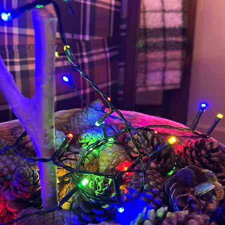 Lastavica House With Heated Pool Zarovic