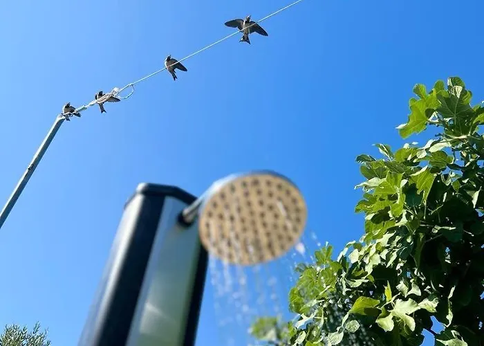 Lastavica House With Heated Pool * Zarovic