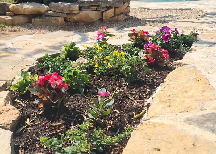 Lastavica House With Heated Pool Дом отдыха Zarovic