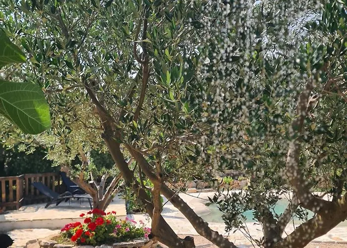 Lastavica House With Heated Pool Дом отдыха *